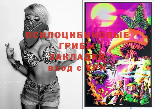 spice Киреевск