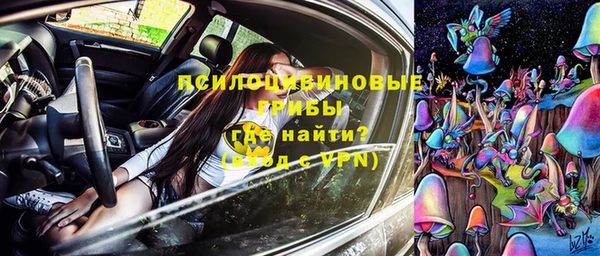 spice Киреевск