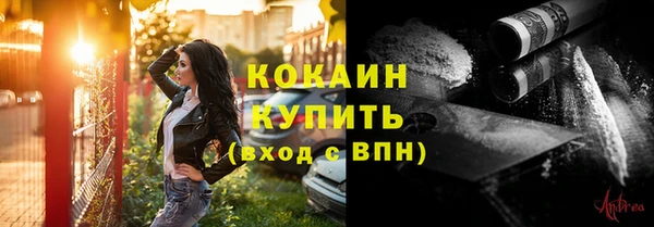 шишки Кинешма